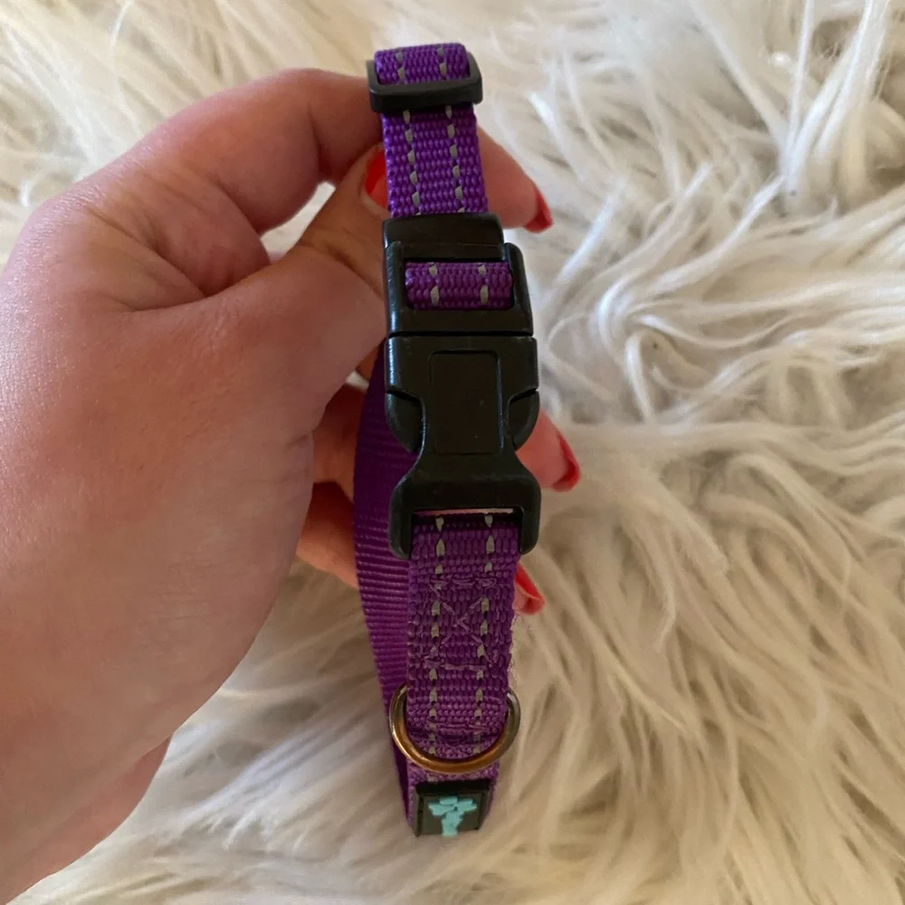 Max & Neo slim purple pet collar